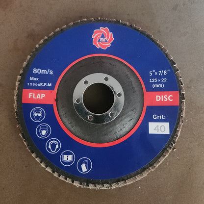 5" Flappy Disks